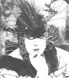 http://freepages.genealogy.rootsweb.ancestry.com/~prsjr/families/in/gifiles/VALESKA1.JPG