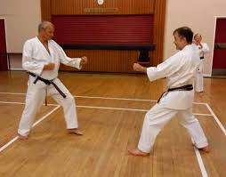 Image result for Windsor Karate Club