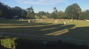 Image result for Jesters Cricket Club