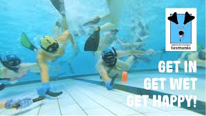Image result for Dublin Underwater Hockey Team