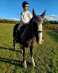 Image result for Bookham Riding School