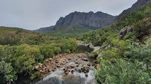 Image result for City Of London Piscatorial Society