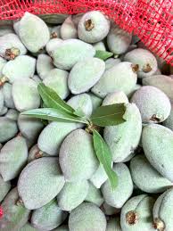 Image result for fresh green almonds