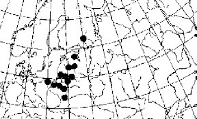 Attēlu rezultāti vaicājumam “Verrucaria hydrela”