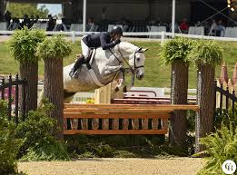 Image result for Patchett`s Green Riding Club