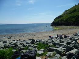 Image result for Prima Sub-Aqua