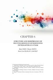 Attēlu rezultāti vaicājumam “Oligonema favogineum plasmodium”