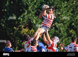 Image result for Vigo Rugby Football Club
