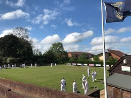 Image result for Hailsham Stoolball Club