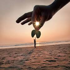 Image result for perspective photography