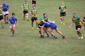 Image result for Diss Rugby Football Club