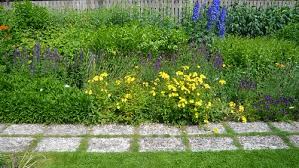 Image result for Mien Ruys