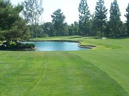 Image result for Redhill Golf Centre