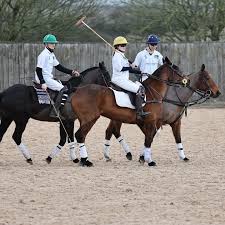 Image result for Cambridge and Newmarket Polo Club