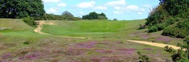 Image result for Rushmere Golf Club