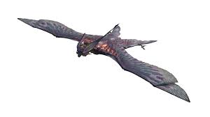 Attēlu rezultāti vaicājumam “Chiroptera”