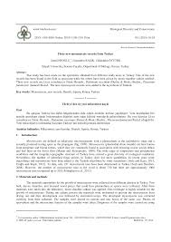 Attēlu rezultāti vaicājumam “Licea testudinacea plasmodium”