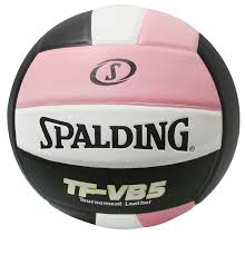 Image result for Spalding Saracens Volleyball Club