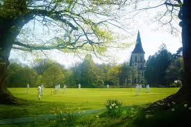 Image result for Southborough Cricket Club