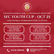 Image result for Stevenage Aqualine SSC