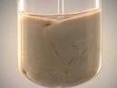 Sodium Hydroxide