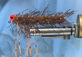 Image result for Segdoune Flyfishers` Angling Club