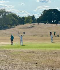 Image result for Lyndhurst Cricket Club
