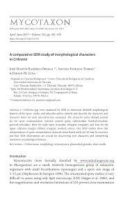 Attēlu rezultāti vaicājumam “Cribraria martinii stalked”