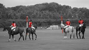Image result for Kirtlington Park Polo Club