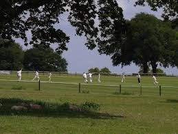 Image result for Dunstall Cricket Club