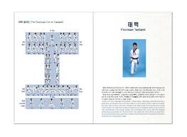 Image result for Reading Wtf Taekwondo