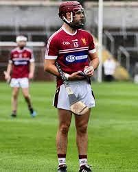 Image result for Sean Treacy`s Hurling Club