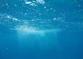 Image result for Maidstone Sub Aqua Club