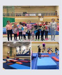 Image result for North East London Gymnastics Club