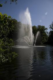 Image result for sonsbeek park