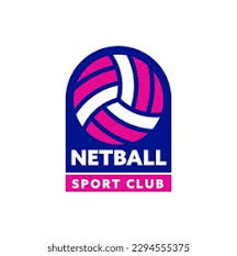 Image result for Icons Netball Club