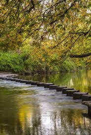 Image result for Box Hill SC