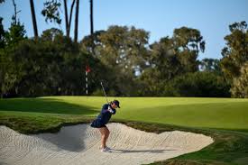 Image result for U3A Crawley SG*