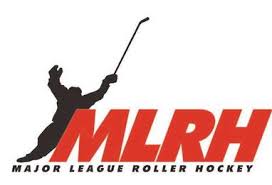 Image result for Vipers Roller Hockey Team