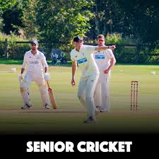 Image result for Roe Green Cricket Club