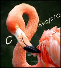 http://t0.gstatic.com/images?q=tbn:ANd9GcTzViVsmZNzfEagyYk6NwRB9g72STtVbsyKlW50be5IG_JpewXe