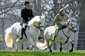 Image result for Woolmers Park Polo Club