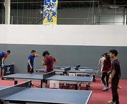Image result for Northfield Table Tennis Club