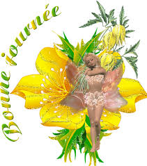 http://t0.gstatic.com/images?q=tbn:ANd9GcTzXDr0ILVH2wYJbS2IGzN-Yun7iweqQcRAaY0gPFMutjjxkMgktA
