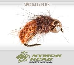 Attēlu rezultāti vaicājumam “Thecabius affinis nymph”