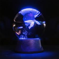 Attēlu rezultāti vaicājumam “cocoon”