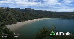 Image result for new chums beach