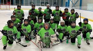 Image result for Cambridge City Junior Hockey Club