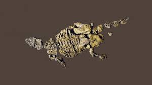 Image result for MINMI