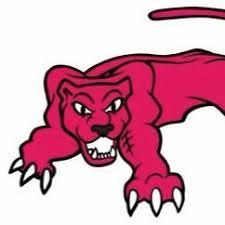 Image result for Farnham Netball Club